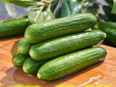 水果小黄瓜新鲜5斤3斤当季小青瓜生吃农家蔬菜荷兰瓜黄瓜批发代发图4