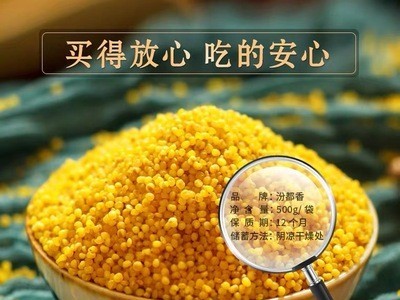 【黄小米500g 】汾都香 新米绿色杂粮农家粗粮孕妇月子宝宝粥图4