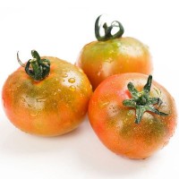 康然水果生鲜批发戴安娜草莓西红柿番茄洋柿子生吃西红柿2.5斤 一件代发