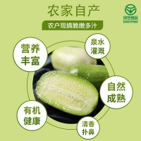 山东寿光基地批发 玉女小黄瓜 新鲜蔬菜黄瓜 清脆爽口 现摘现发