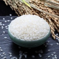 东北大米鑫阳河珍珠米厂家批发诚招代理东北大米5kg黑龙江产地