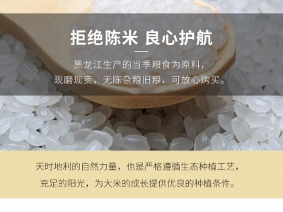 20年新米 东北大米黑龙江圆粒珍珠米厂家批发佳木斯大米图2