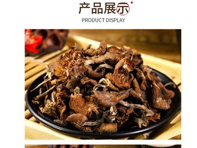 东北蘑菇 真菌 东北特产 批发图2