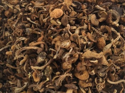东北蘑菇 真菌 东北特产 批发图3