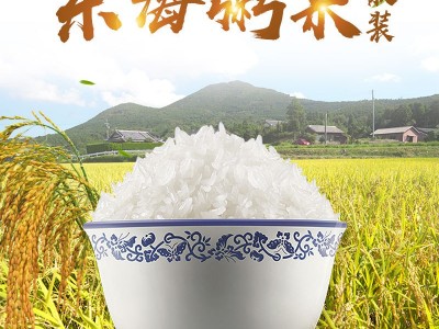 东海粥米农家大散装东海大米1KG大米1斤批发厂家代发大米电饭煲用图3