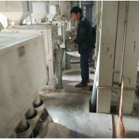 柬埔寨原稻进口 金竹柬埔寨茉莉香米25kg 细长饱满香甜大米直批