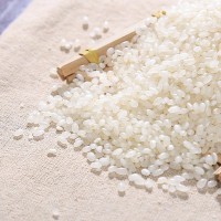 江通大米 20斤10KG大粒米 南粳5055农家自种苏北大米软糯香米