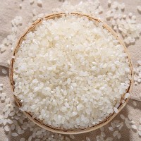 江通珍珠香米 大粒珍珠香米 50斤江通大米珍珠香米特价