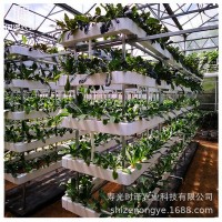 厂家直销无土栽培设备 温室大棚工程种植系统 智能立体种植设备