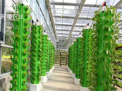 厂家直销无土栽培设备 温室大棚工程种植系统 智能立体种植设备图3