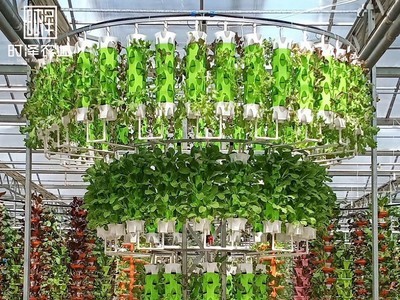 厂家直销无土栽培设备 温室大棚工程种植系统 智能立体种植设备图4