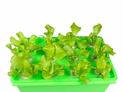 箱式无土栽培设备 水培蔬菜 阳台种植花卉 自动循环水耕机 花盆图2