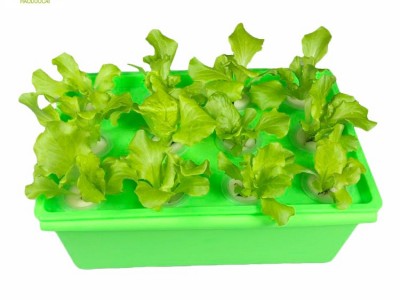 箱式无土栽培设备 水培蔬菜 阳台种植花卉 自动循环水耕机 花盆图5