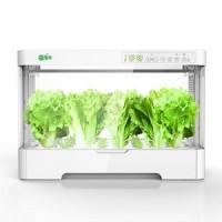 菜多多无土栽培自动化设备 智能家庭室内水培蔬菜草莓番茄种植箱