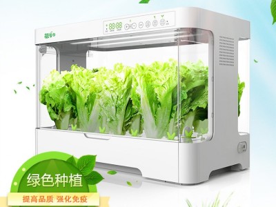 菜多多无土栽培自动化设备 智能家庭室内水培蔬菜草莓番茄种植箱图5