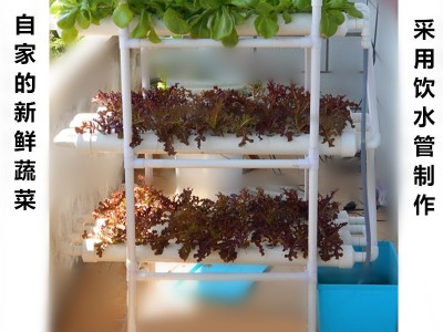 厂家管道式无土栽培设备家庭阳台种植蔬菜草莓水培水耕多层种菜机图5
