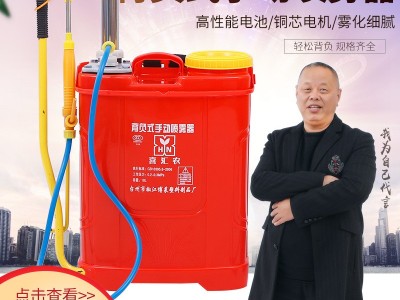 现货背负式手动喷雾器背负式打农药消毒农用白钢双管气压式喷雾器图5