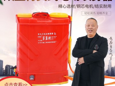 现货供应新款两用加厚款农用背负式电动喷雾器农业机械消毒打药机图5