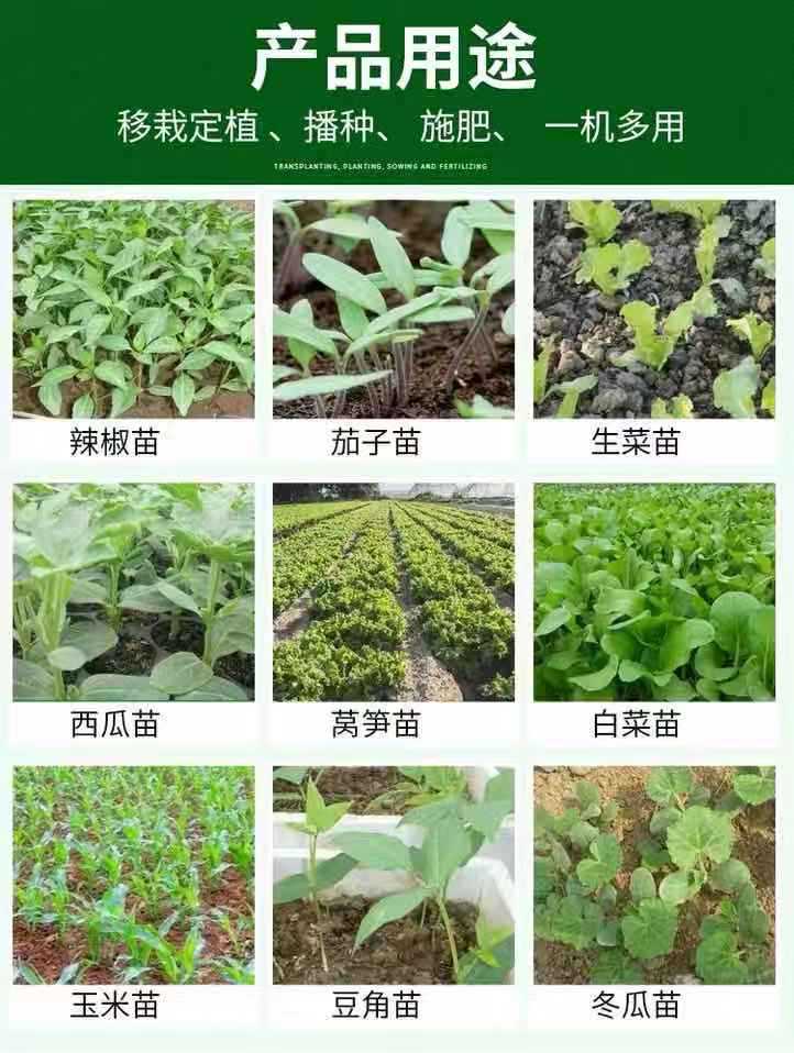 微信图片_20191122213955