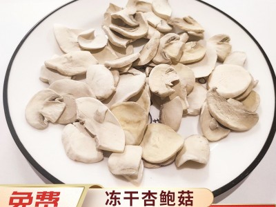 厂家供应散装冻干杏鲍菇 脱水杏鲍菇加工批发 冻干蔬菜包脱水蔬菜图5