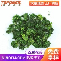 供应冻干西兰花FD西兰花冻干蔬菜脱水蔬菜冻干食品冻干西蓝花头