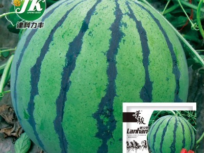 华骏冰糖麒麟西瓜种子麒麟瓜种籽蔬菜种孑京欣早佳8424菜籽早熟图5