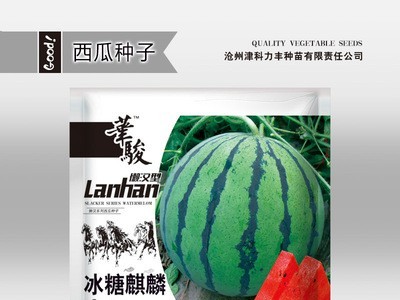 华骏冰糖麒麟西瓜种子麒麟瓜种籽蔬菜种孑京欣早佳8424菜籽早熟图4