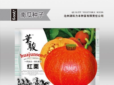 华骏杂交红栗南瓜种子红板栗甜栗红色甘甜面肉厚爬藤蔬菜瓜果种籽图4