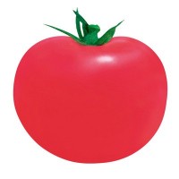 华骏粉冠802番茄种籽大果粉红色西红柿种子沙瓤春季蔬菜种孑菜籽