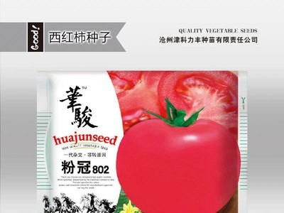 华骏粉冠802番茄种籽大果粉红色西红柿种子沙瓤春季蔬菜种孑菜籽图4