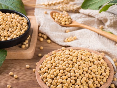 江津黄豆富硒黄豆种植基地批发图3