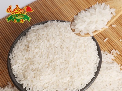精诚食品 大米厂家直批 基地直发5KG/10KG包装大米图2