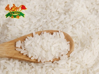 精诚食品 大米厂家直批 基地直发5KG/10KG包装大米图4