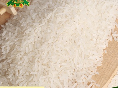 精诚食品 大米厂家直批 基地直发5KG/10KG包装大米图5