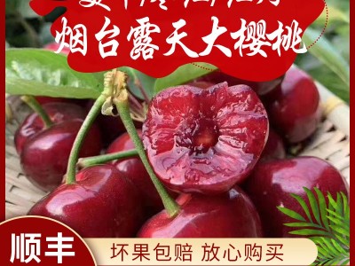 【顺丰】静和新鲜孕妇水果批发露天美早车厘子山东烟台大樱桃5斤图5