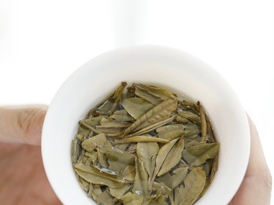 泰美茶镇┃福鼎白茶白牡丹2020年便携式品鉴小罐饼干茶60g新品图2