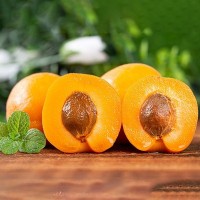 山东大黄杏子水果新鲜当季整箱原产地现摘孕妇酸甜杏子果现货批发