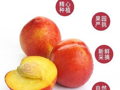 原产地批发新鲜黄心油桃桃子新鲜水果孕妇黄肉水蜜桃 5斤装图3