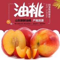 原产地批发新鲜黄心油桃桃子新鲜水果孕妇黄肉水蜜桃 5斤装