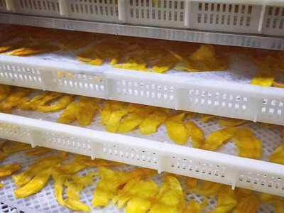 批发500克芒果干散装批发微商零食可OEM代加工新型食品果干蜜饯图2