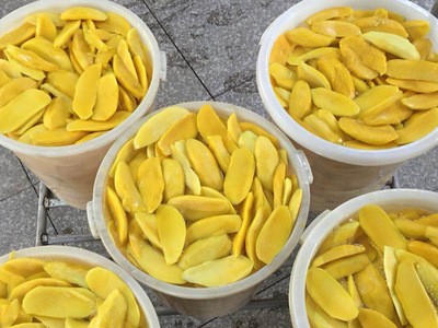 批发500克芒果干散装批发微商零食可OEM代加工新型食品果干蜜饯图5