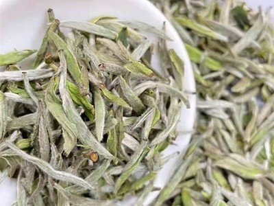 2021年高山头采白毫银针茶叶500g散茶清香清甜福鼎白茶厂家批发图4