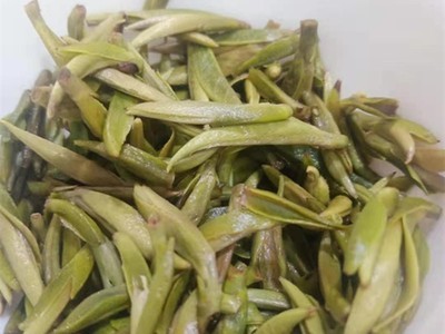 2021年高山头采白毫银针茶叶500g散茶清香清甜福鼎白茶厂家批发图2