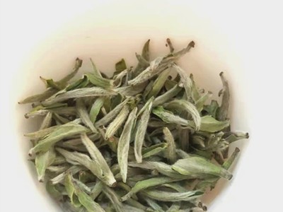 2021年高山头采白毫银针茶叶500g散茶清香清甜福鼎白茶厂家批发图3