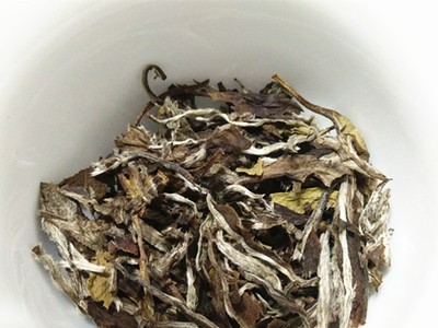 福鼎白茶2016年陈年白牡丹300g茶饼口感陈香味足福鼎白茶厂家批发图3