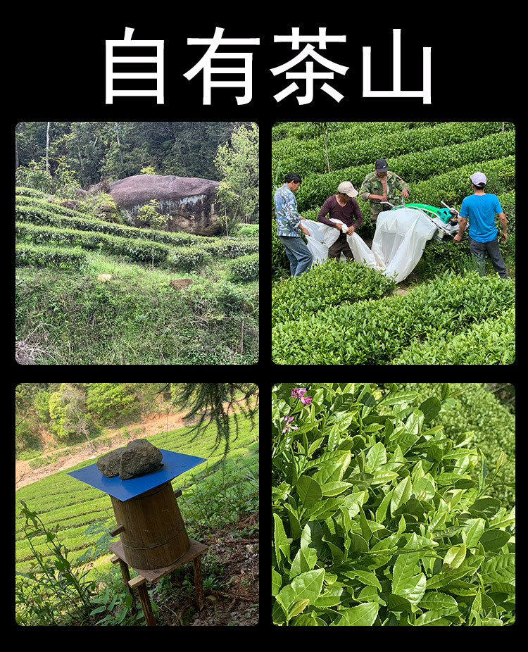 微信图片_202012281125185_01