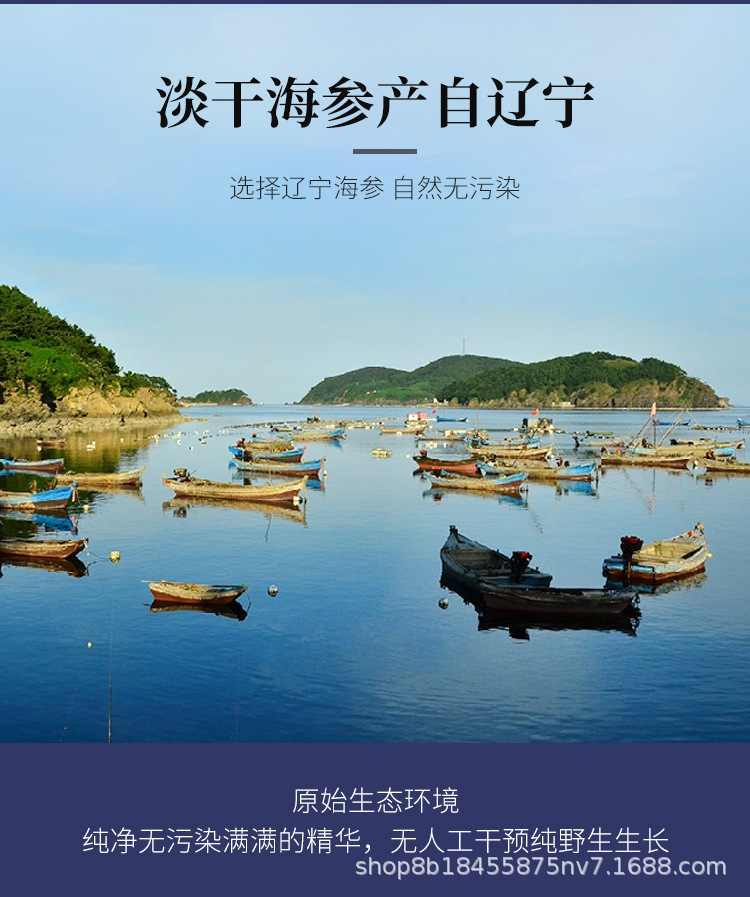 海参详情页_01.jpg
