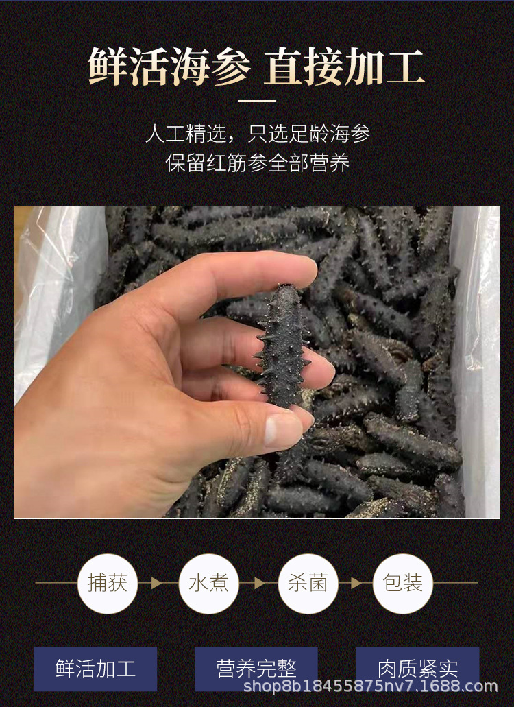 海参详情页_03.jpg