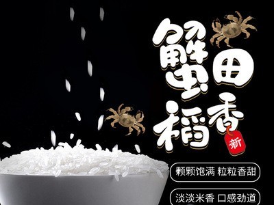 厂家批发东北盘锦大米稻田蟹清香大米5kg东北特产稻田蟹米图3