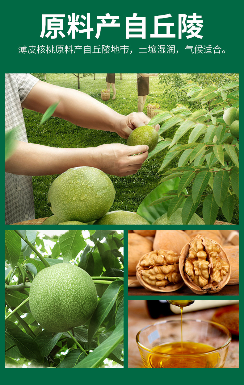核桃油_07.jpg